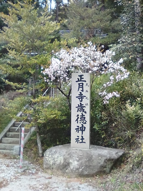 正月宮・正月寺歳徳神社の境内の神社名石碑と桜