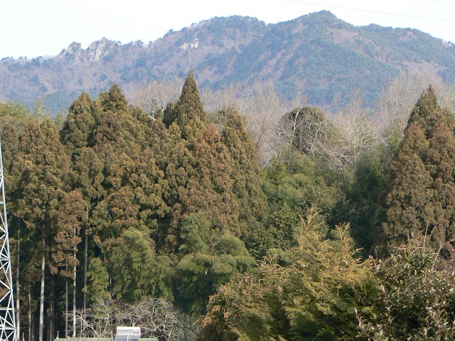 境内前田圃より北方の霊峰二ツ箭山を望む