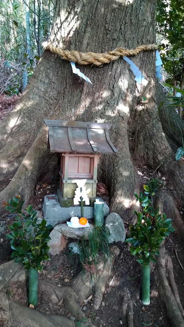 椎の木の御神木根本の氏神の社