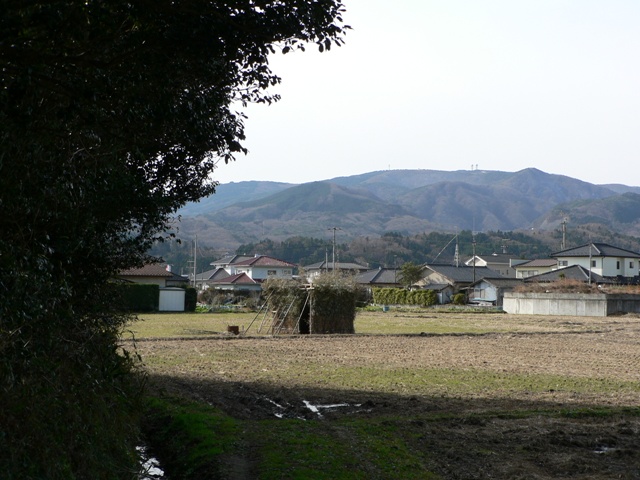 神社前の御神田に作られた酉小屋