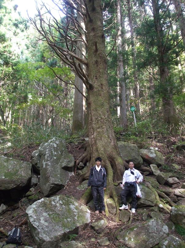 ニツ箭山への登山途上